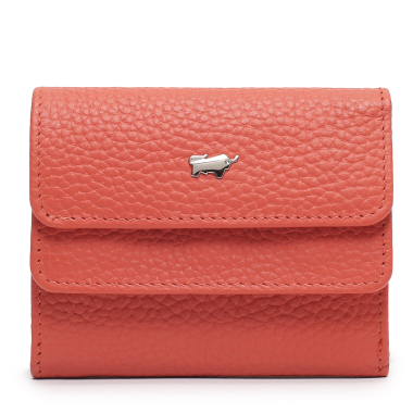 Braun Buffel