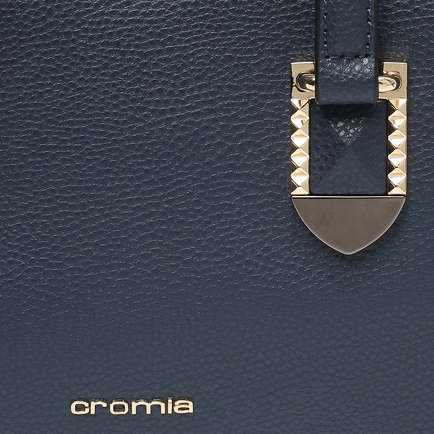 Кожаная сумка Cromia Mina