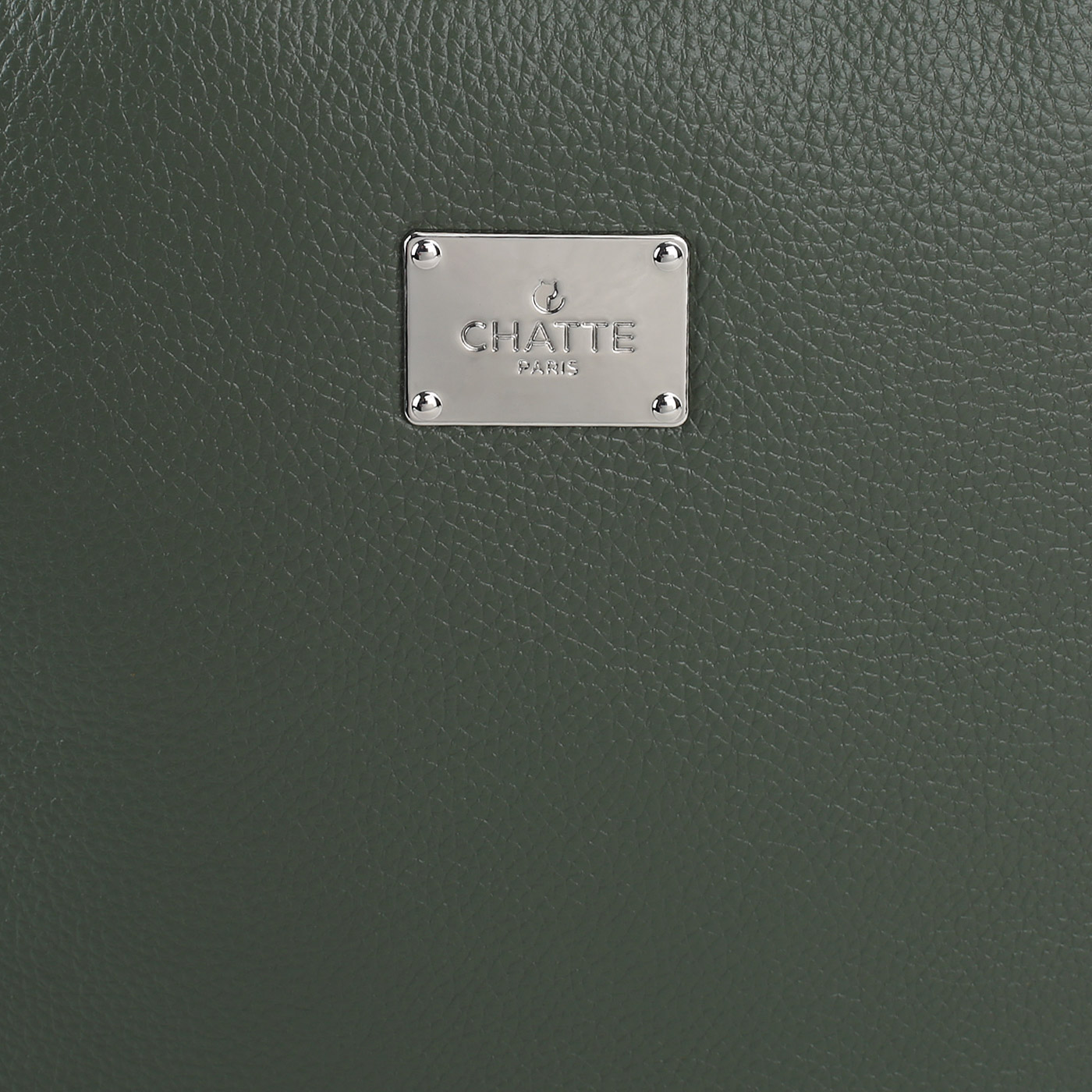 Кожаный рюкзак Chatte Lion